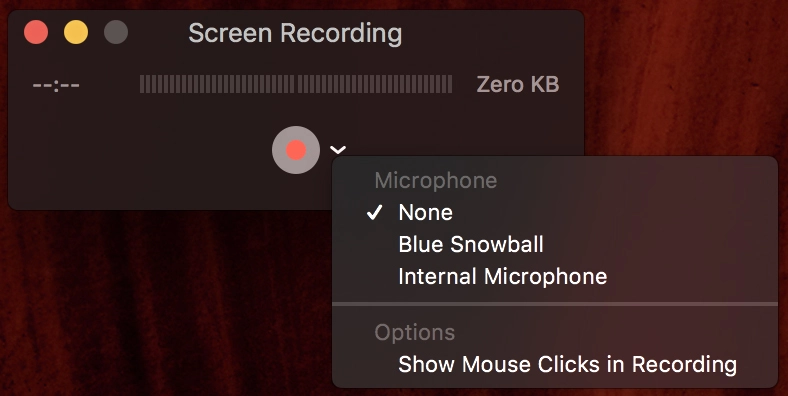QuickTime recording controls with audio options