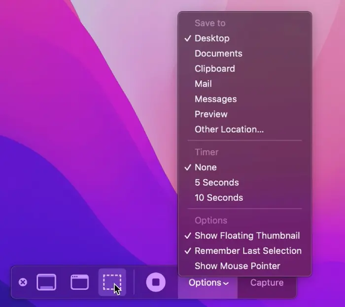 macOS Screenshot Toolbar Options dropdown menu